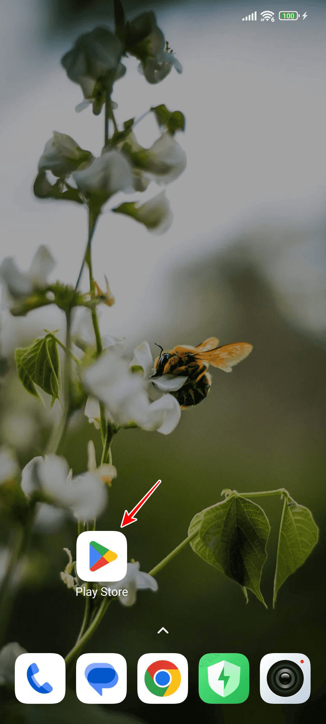 กดเลือกแอป “Play Store“